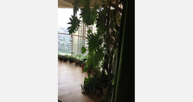 3 BHK for rent in new 8 towers of Nahar Amrit Shakti Complex, Chandivali