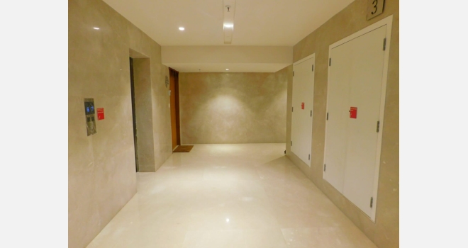 1 BHK Fully Furnbished Flat For Sale in Godrej The Trees