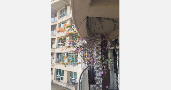 3 BHK for rent in new 8 towers of Nahar Amrit Shakti Complex, Chandivali