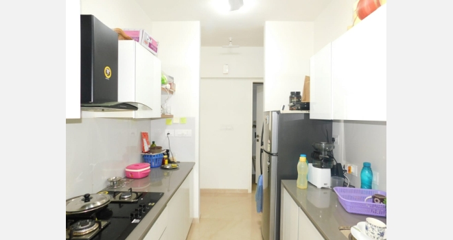 1 BHK Fully Furnbished Flat For Sale in Godrej The Trees