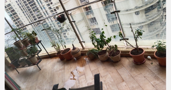 Available 3bhk garden facing apartment for Sale